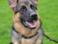 www.trijn-fotografie.nl-117