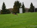 www.trijn-fotografie.nl-170