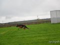 www.trijn-fotografie.nl-175