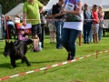 DSC_4604-ttkiekjes_513x768