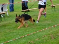 DSC_4612-ttkiekjes_513x768