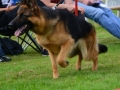 DSC_4615-ttkiekjes_513x768