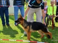 DSC_4635-ttkiekjes_1024x684