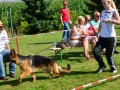 DSC_4670-ttkiekjes_513x768