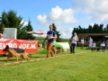 DSC_4675-ttkiekjes_513x768