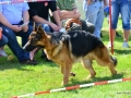 DSC_4798-ttkiekjes_1024x684