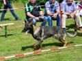 DSC_4808-ttkiekjes_1024x684