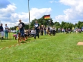 DSC_4815-ttkiekjes_1024x684