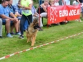 DSC_4823-ttkiekjes_513x768