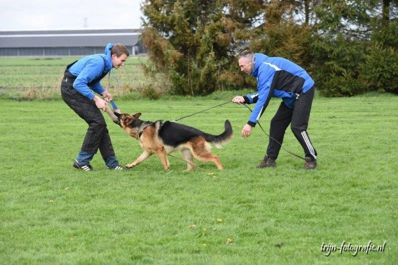 pakwerk leren2