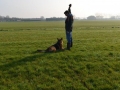 speuren