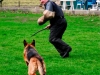 1dsc6452