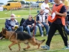 dsc_5017-ttkiekjes-jpg